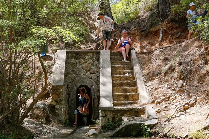 A stone staircase leading up a hill, surrounded by trees and vegetation. 5