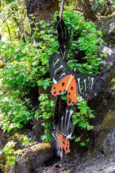 A butterfly resting on a moss-covered rock surrounded by green foliage. 2