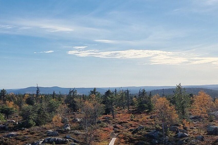 Day Hike in Salla National Park from Ruka-Kuusamo 4