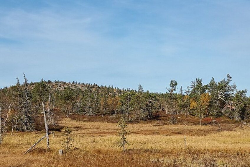 Day Hike in Salla National Park from Ruka-Kuusamo 1
