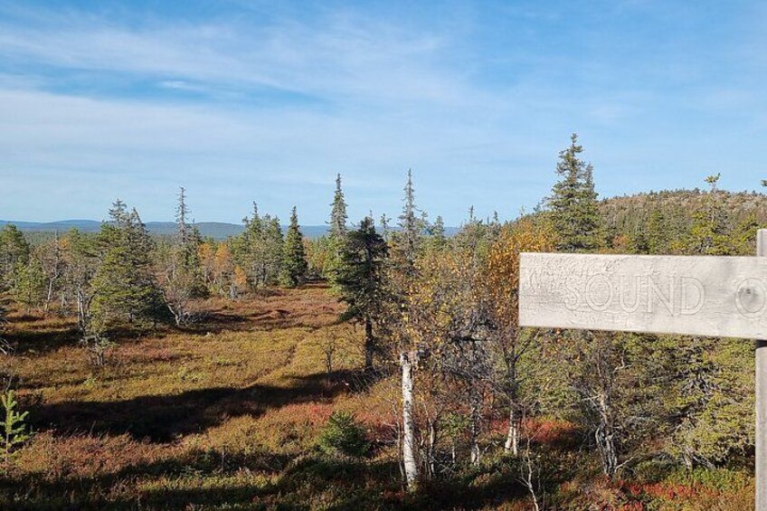 Day Hike in Salla National Park from Ruka-Kuusamo 5