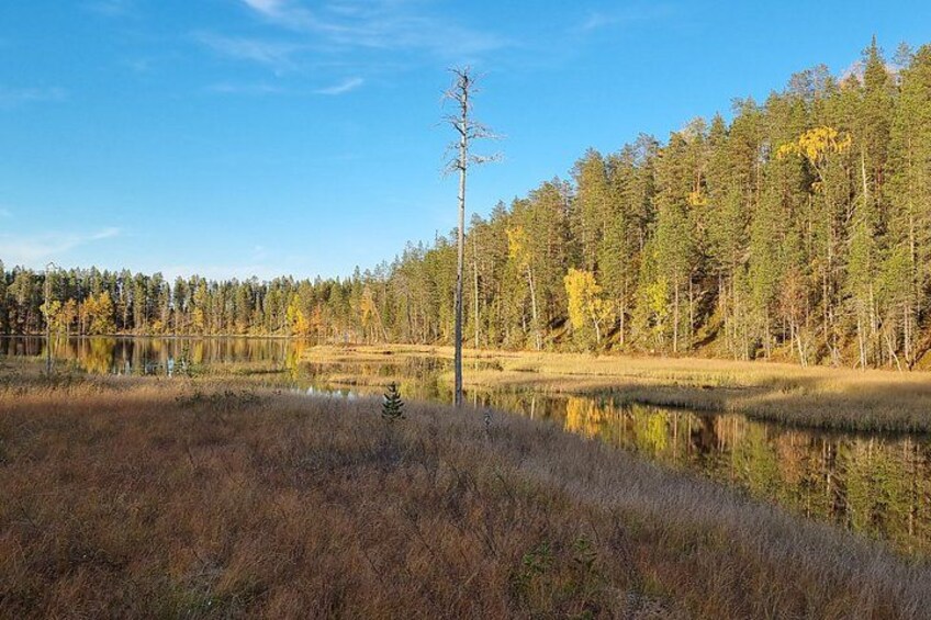 Day Hike in Salla National Park from Ruka-Kuusamo 3