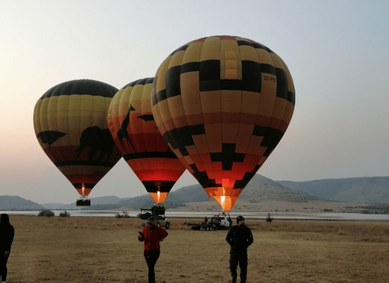 Hot air balloons with distinct patterns, a flat landscape, and distant mountains. 2