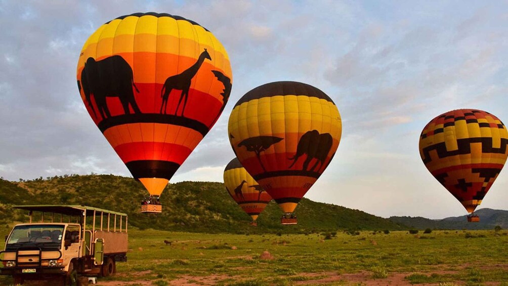 Hot air balloons with animal silhouettes over a grassy field with a vehicle in the foreground. 1