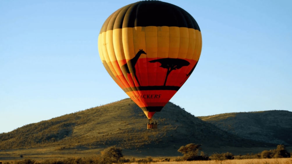 A hot air balloon with a giraffe and ostrich design, flying over a hilly landscape. 3