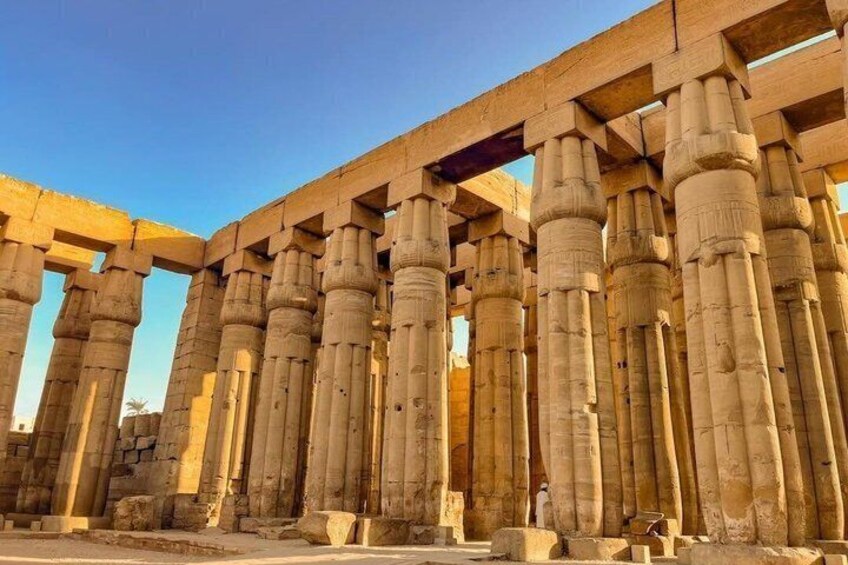 Luxor Full-Day Tour: Karnak, Valley of the Kings & Hatshepsut 4