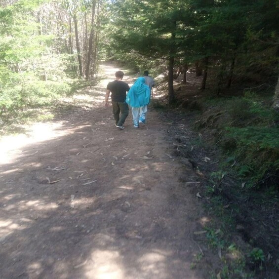 Two people walking on a dirt path in a forested area. 4