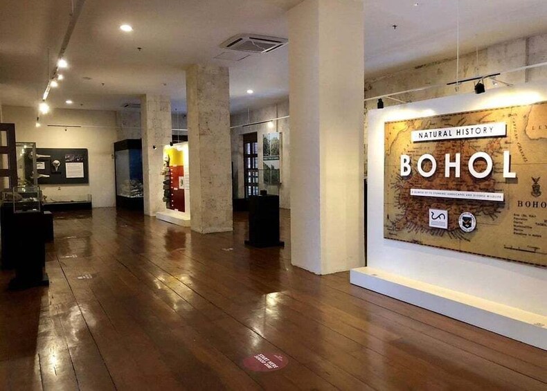 An indoor exhibition space with wooden flooring, glass display cases, and a wall-mounted sign for 'BOHOL NATURAL HISTORY.' 4
