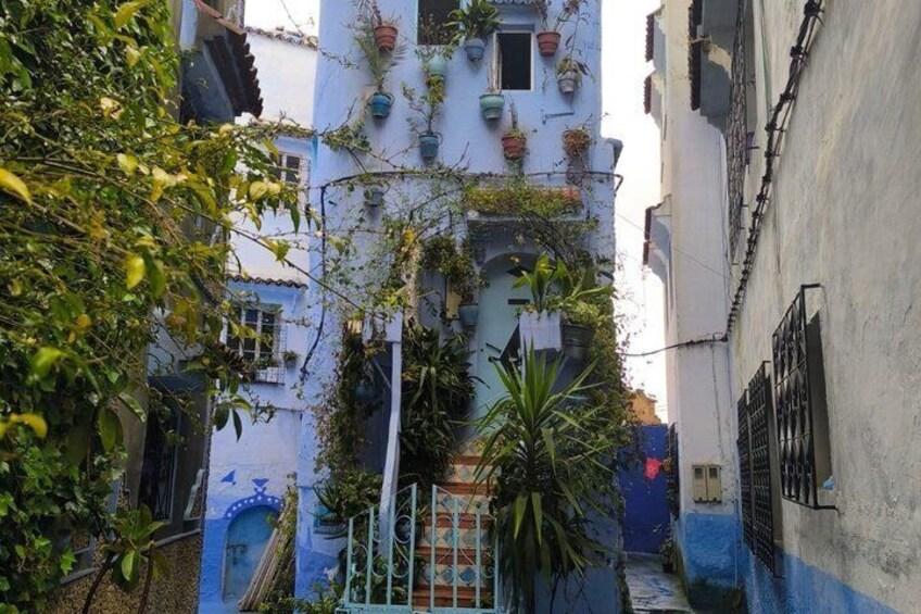 A narrow alleyway with buildings painted in blue, potted plants on the walls, and a gate at the end. 4