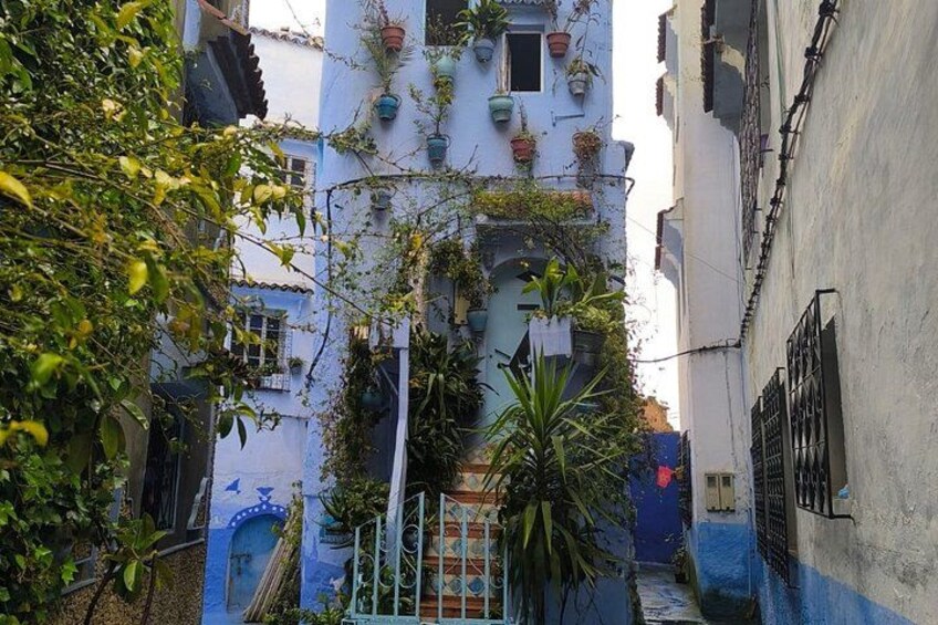 A narrow alleyway with buildings on either side, some with plants growing on the walls. 4