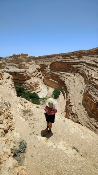 A person hiking in a rocky canyon with terraced formations and sparse vegetation. 1