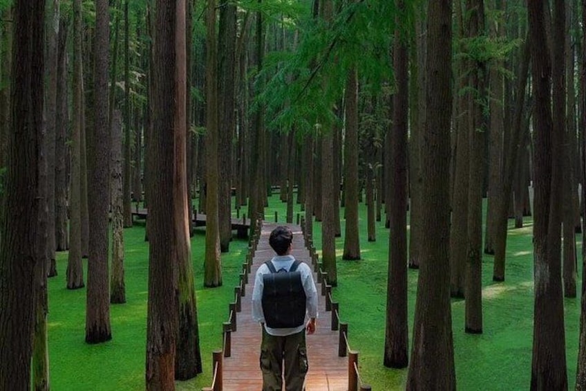 Shanghai Matcha Lake and West Lake Day Trip by Train 1