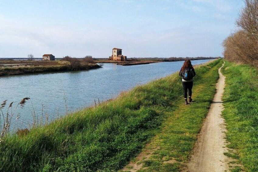 Bike or Hike Tours to Discover Comacchio Valleys 3