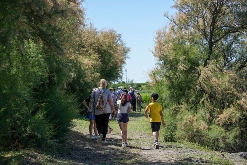 Bike or Hike Tours to Discover Comacchio Valleys 4