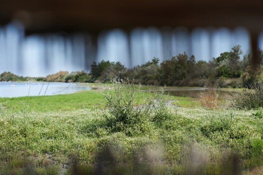 Bike or Hike Tours to Discover Comacchio Valleys 2