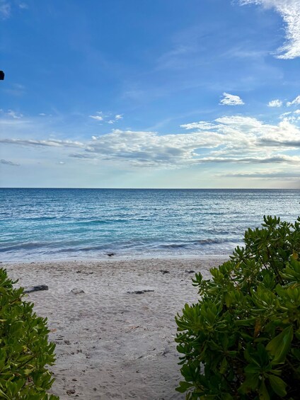 A beach with clear blue water and a sandy shore, surrounded by greenery. 4
