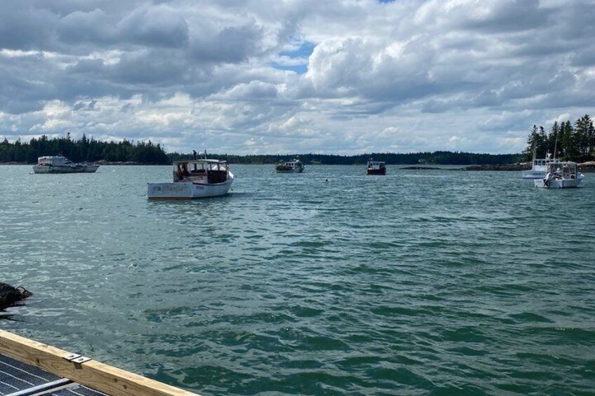 Un cuerpo de agua tranquilo con varios barcos, un muelle y una orilla boscosa bajo un cielo nublado. 4