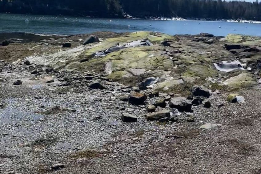 Eine felsige Küstenlinie mit Wasser, Kieselsteinen und moosbewachsenen Steinen. 1