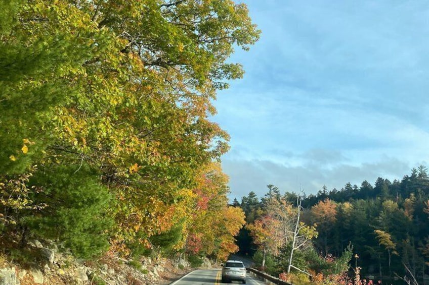 Una carretera bordeada de follaje otoñal, un coche y una colina boscosa al fondo. 2
