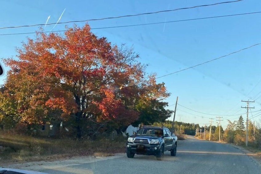 Van Tour of Mount Desert Island 2