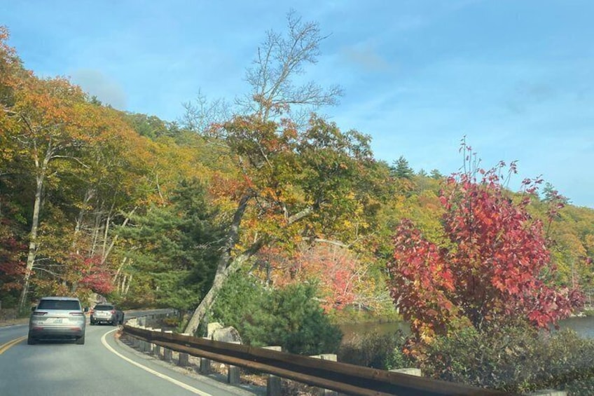 Van Tour of Mount Desert Island 1