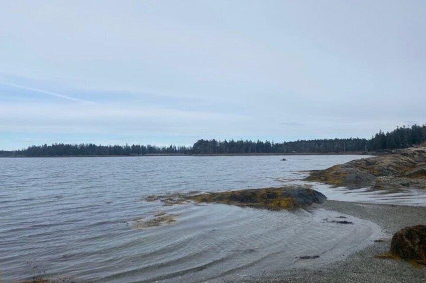 Ein ruhiger See mit steiniger Uferlinie und einem bewaldeten Hügel im Hintergrund. 2