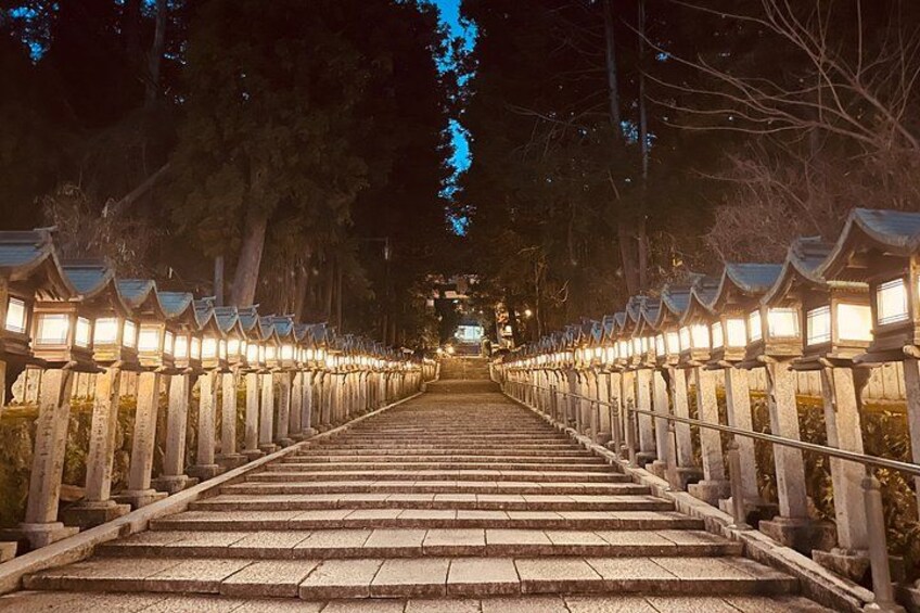 Ikoma Hozanji Temple Magical Night Walk Small Group 1