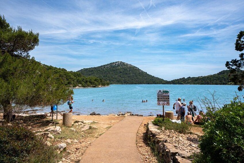 swimming in the lake 2