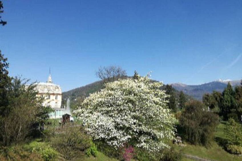 A garden with blooming trees, a building with a dome, and a hilly landscape. 2