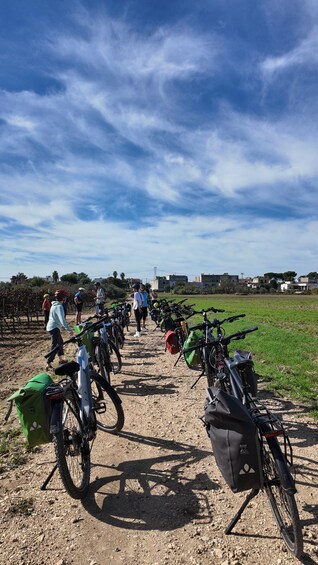 Picture 12 for Activity Lecce: E-Bike Tour, Artisan Workshop, and Olive Oil Tasting 2