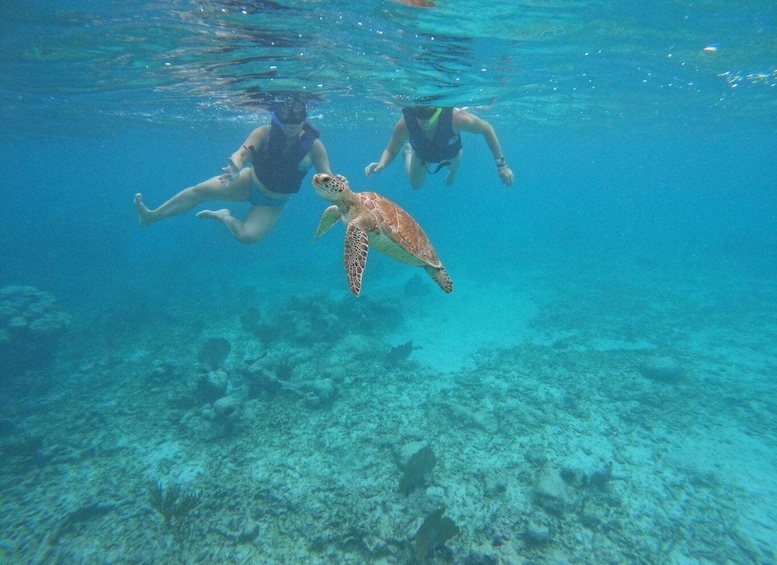 Two people swimming with a sea turtle underwater. 2