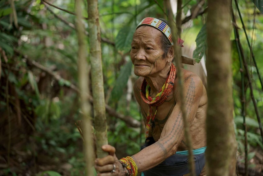 An elderly person in a forested area, wearing a colorful headband and necklace, with visible tattoos on their arms. 1