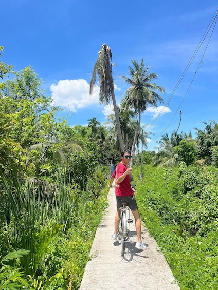 A person riding a bicycle on a concrete path surrounded by lush greenery and palm trees. 1