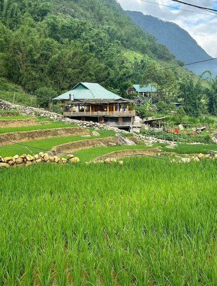 A green-roofed house with a balcony, surrounded by terraced rice fields and dense forested hills. 4