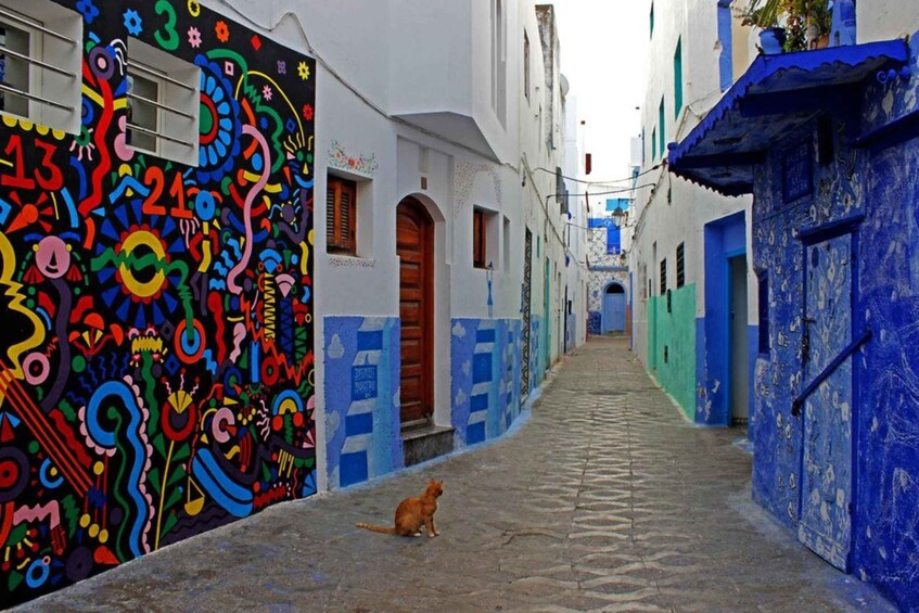 A narrow street with colorful murals and a cat sitting on the ground. 2