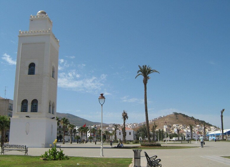 A white tower, palm trees, benches, and a clear blue sky. 3