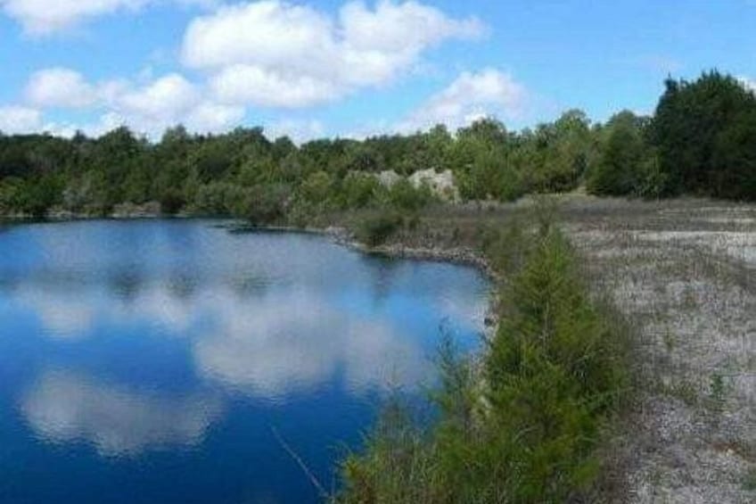 Shinrin-yoku Forest Bathing Experience at the Lake 2