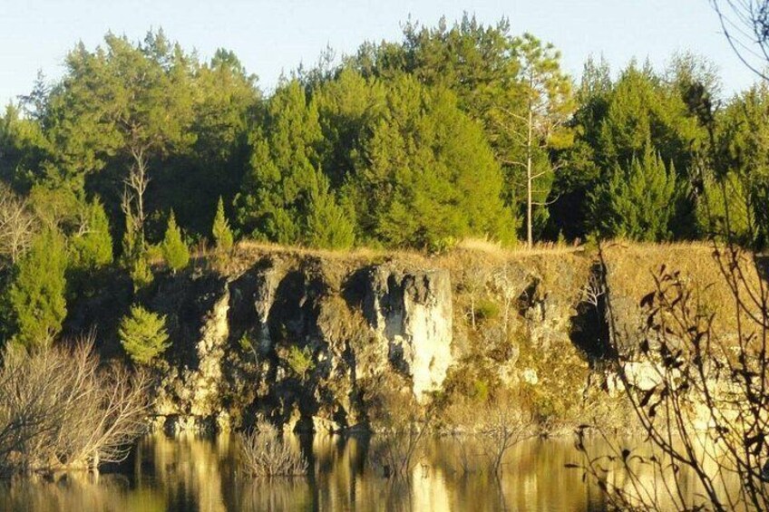 A rocky cliff with a waterfall, surrounded by dense forest. 2