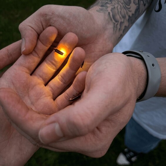 A person holding a glowing object between their hands. 1