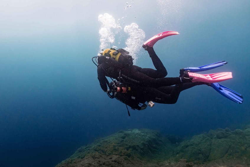 A diver with pink and blue flippers, a black wetsuit, and a yellow oxygen tank, swimming underwater. 1