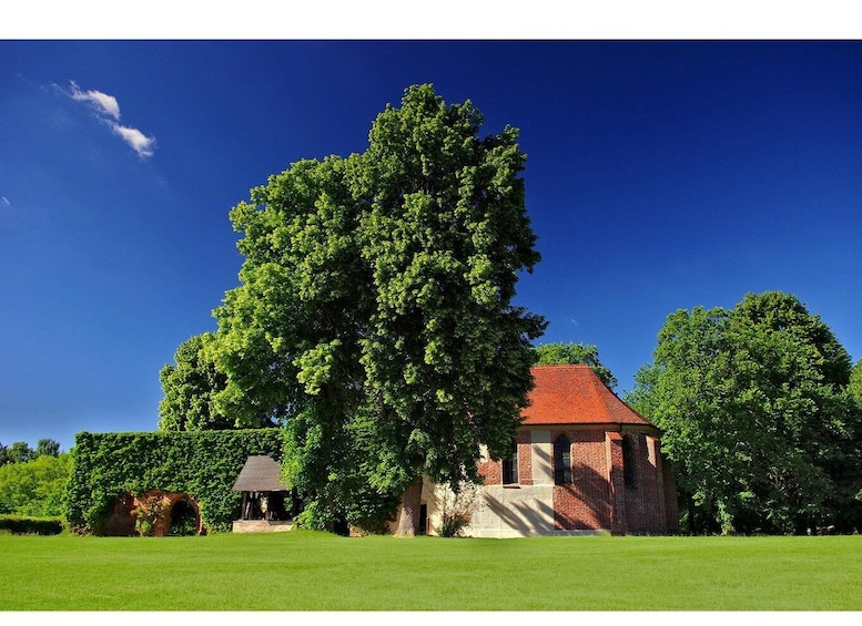 A large tree in front of a brick building with a red roof. 4