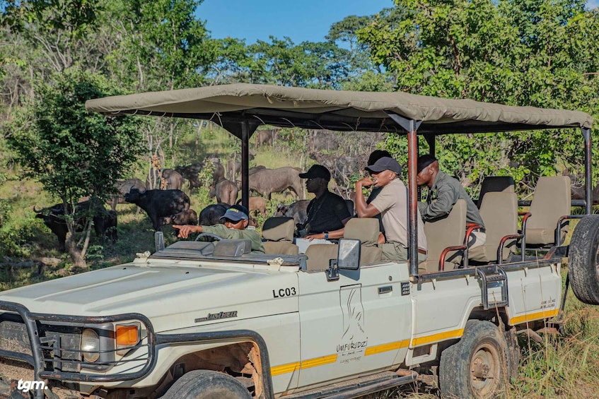 A safari vehicle with passengers observing wildlife, including elephants and buffalo, in a natural setting. 1