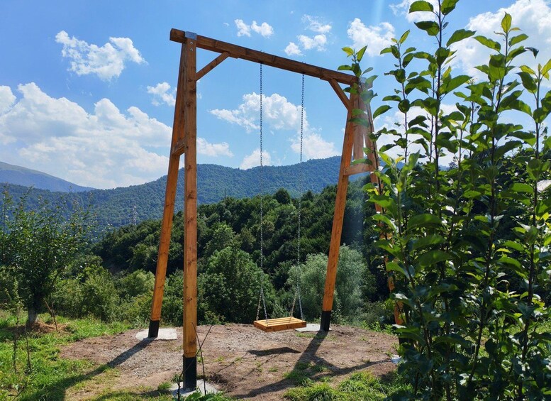 A wooden swing set in a natural setting with a mountainous backdrop. 3