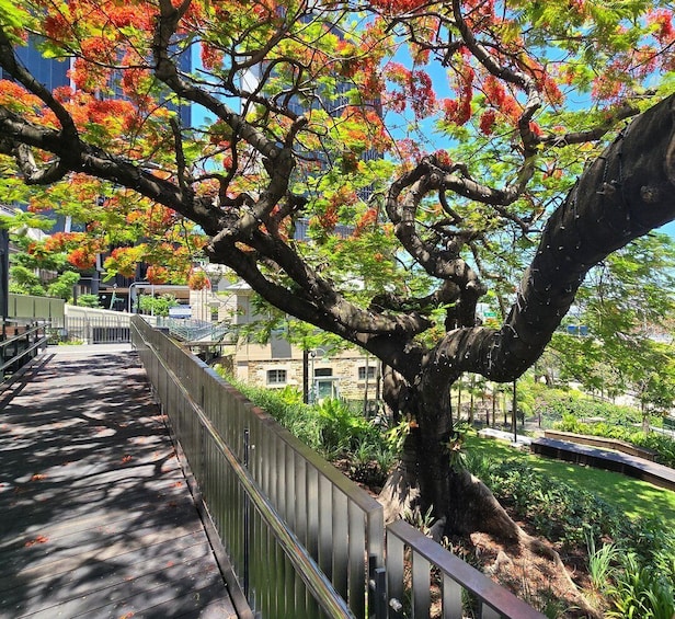 A tree-lined walkway with autumn foliage, a metal fence, and buildings in the background. 5
