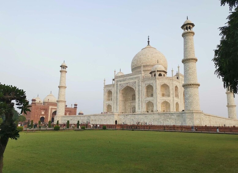 Picture 208 for Activity Private 6-Day Golden Triangle & Udaipur Luxury Tour 5