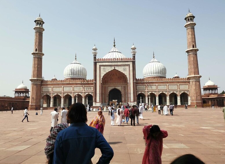 Picture 210 for Activity Private 6-Day Golden Triangle & Udaipur Luxury Tour 4