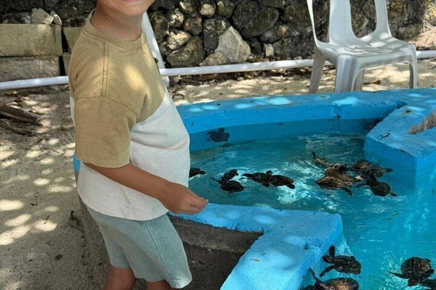 A child holding a turtle in a blue pool with a stone wall and white chairs in the background. 5