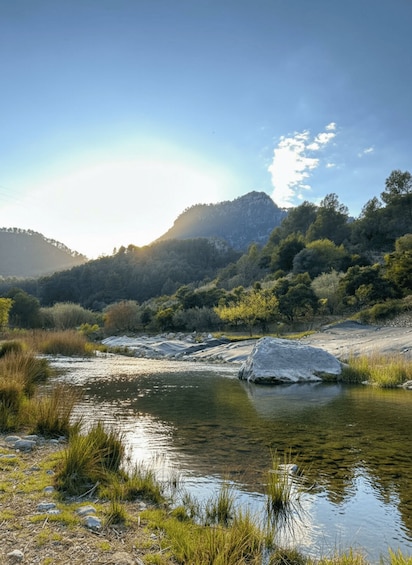 A river flowing through a forested valley with a large boulder in the water and hills in the background. 3