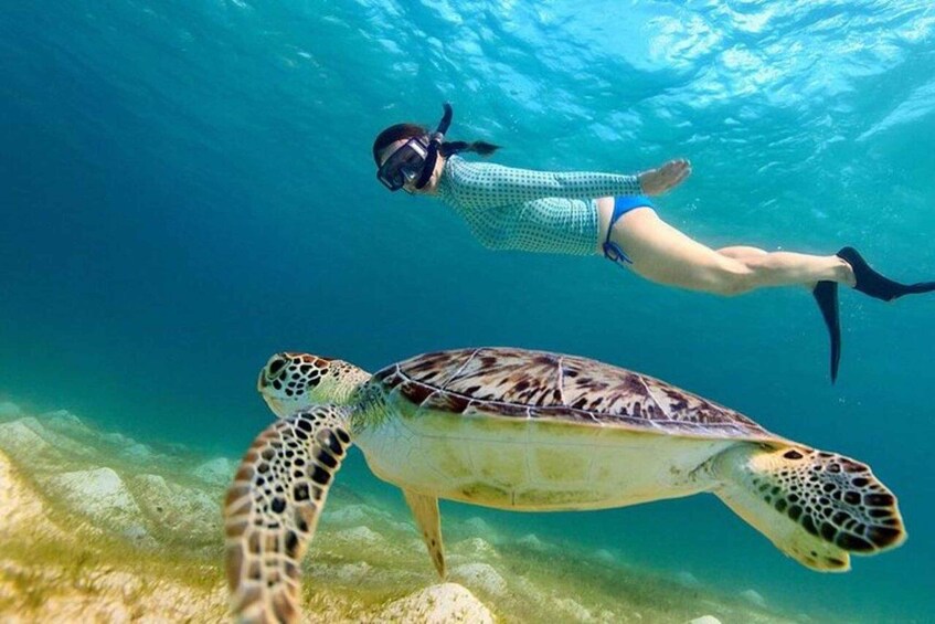 A person snorkeling with a sea turtle. 1