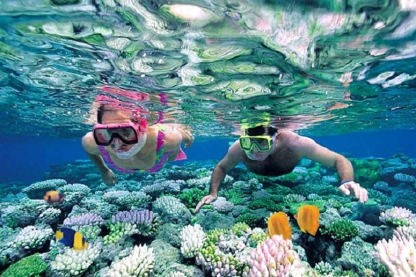 Two people snorkeling underwater among colorful coral reefs. 3